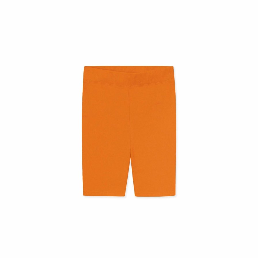 Women * | Massive Rib Bike Shorts 6 Seasonal